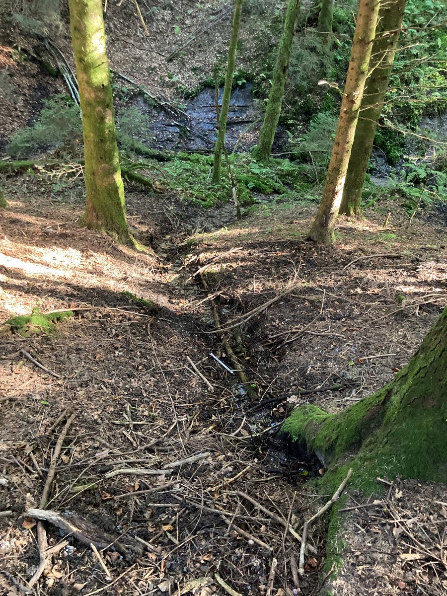TempAqua's tweet photo. Mapping temporary streams in the Swiss #HauteMentue catchment fir the first time! Exploring sandstone springs, dry channels and sleep (!) hillslopes during a sunny autumn day. Thanks to @fesaaved for GPS support. #hydrology #water https://t.co/n9cCzVvtjg