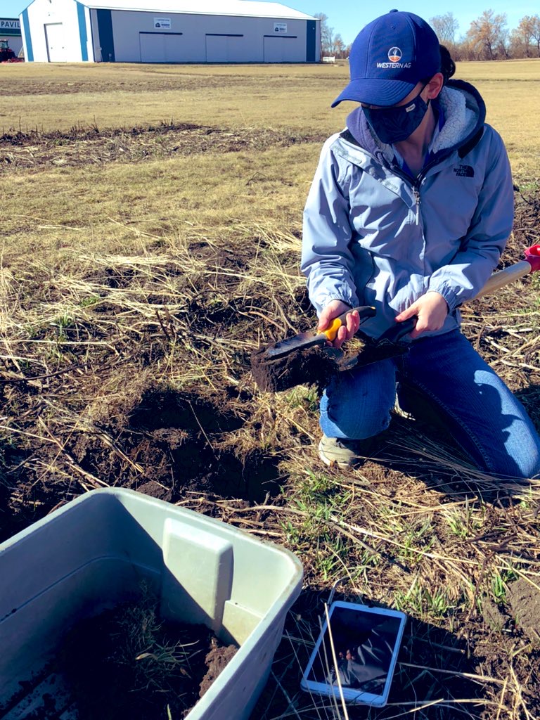In the <a href="/Foodgrains/">Canadian Foodgrains Bank</a> network, we value land, down to the sq meter

Meet Dani, one of our #conersvationag volunteers, enjoying a hearty meal from our demo plot @DiscoveryFarmSK
 
From sampling soils in Apr to sampling its bounty in Oct, so glad you've joined the team! <a href="/westernagNWSK/">WesternAg North West Sask.</a>