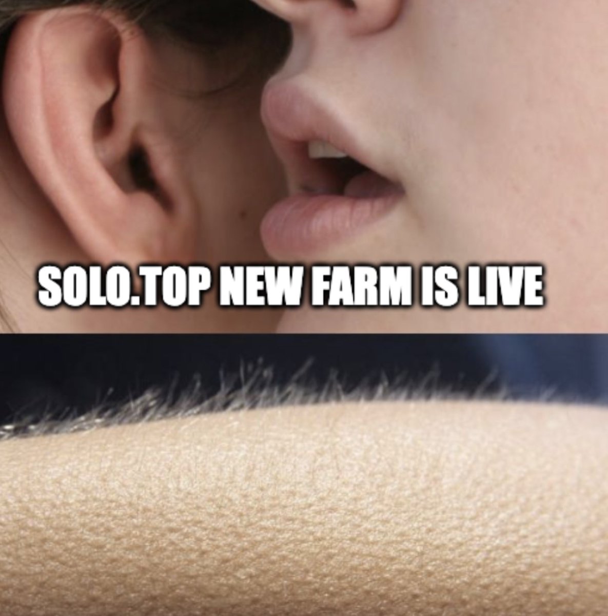 solo_top's tweet photo. Earn without impermanent loss!
#YieldFarming #solotop #Polygon #MATIC #DeFi
$USDC 67.56%
$QUICK 71%
$DAI 17.52%
$BTC 14.26%
$ETH 18.29%
$MATIC 20.02% https://t.co/gypm59rboD