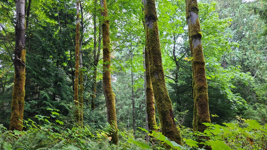 Ahhh...a little time in nature is good for the soul.