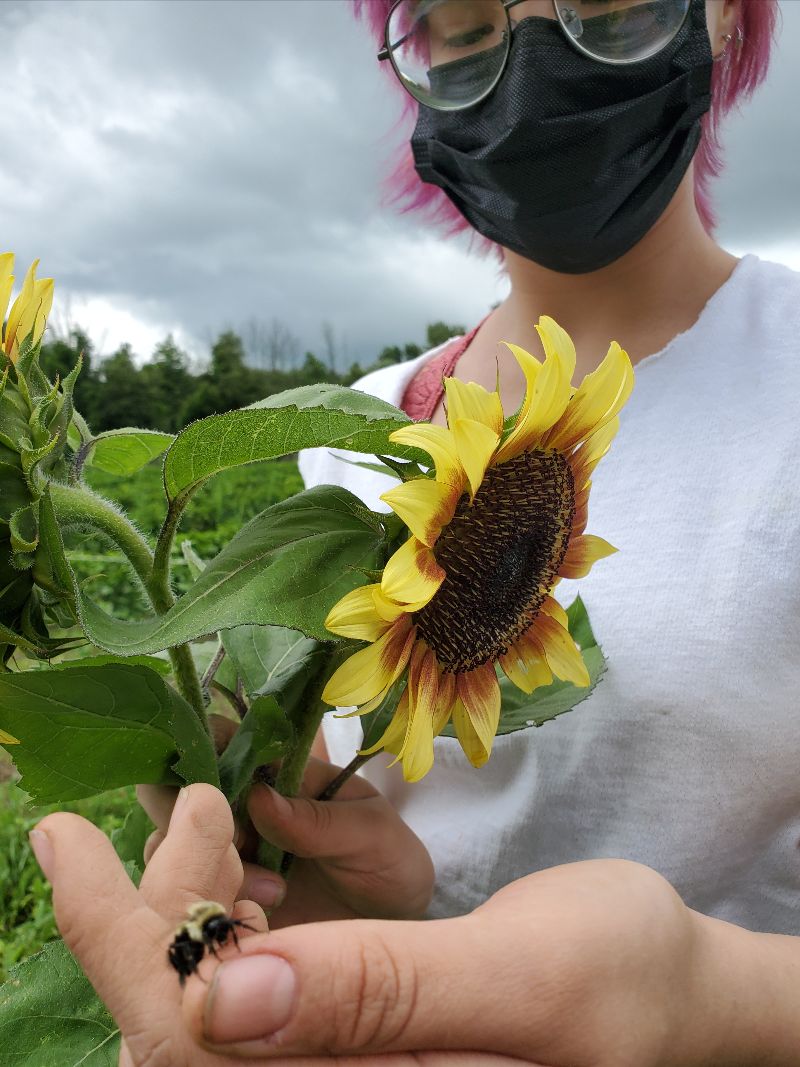 Raising the Roots was a blast! - mailchi.mp/mass-ave/sprin…