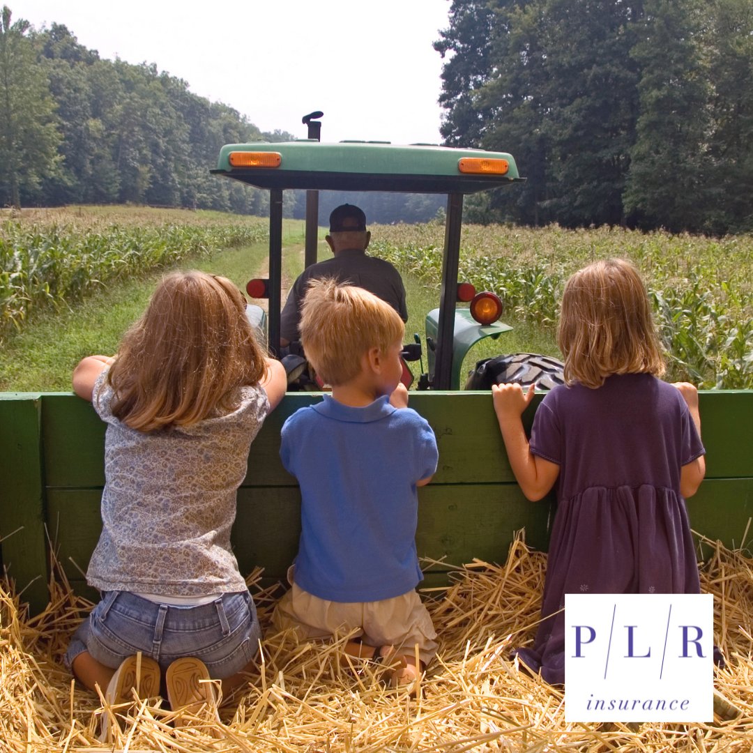 PLR_Insurance's tweet image. Nothing says fall like pumpkin carving, apple cider, donuts and hayrides! However, with a motorized vehicle comes safety risks. Keep yourself and your kids safe on hayrides by following these seven tips. bit.ly/3tIopxn

#hayride #safety #fall #harvest #fallfun #october