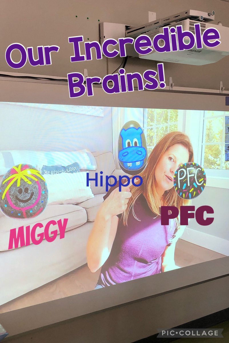 MrsCombden's tweet photo. Today we learned about 3 important brain parts and how they work together when we are calm with Becca @mindfulrocks! Our brains are so amazing! 🤩 @StCeciliaOCSB https://t.co/g2OOgpnOR2