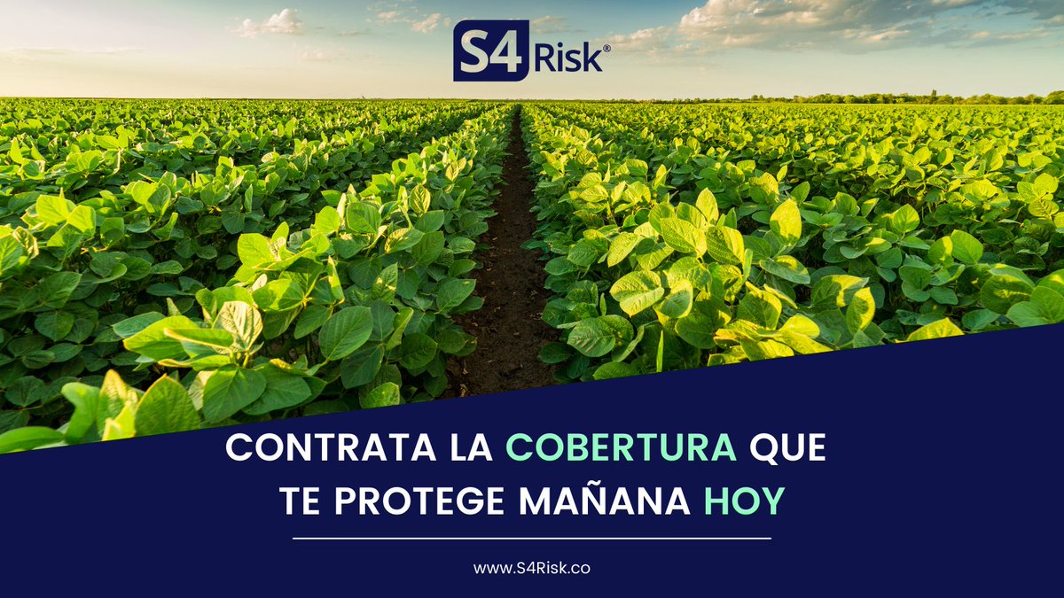 ¿Cómo querés gestionar tu #riesgoclimático?

Los índices desarrollados por S4 tienen una alta correlación con los rindes de los #cultivos. 

Para soja, la correlación es de 88% y 81% para #Argentina y #Brasil, respectivamente.

Protegé tus #cultivos en S4Risk.co