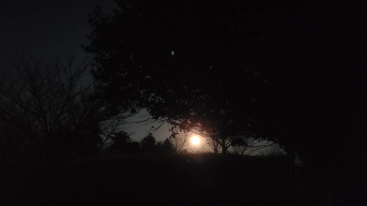 chan999358's tweet photo. 今日は満月〜🌕✨✨

ナイトモードと普通に撮った写真📸

ナイトモードは、まるで昼間みたい(º ﾛ º๑)!!✨✨

凄いなぁ〜‼️ https://t.co/RUm0rrWGeE