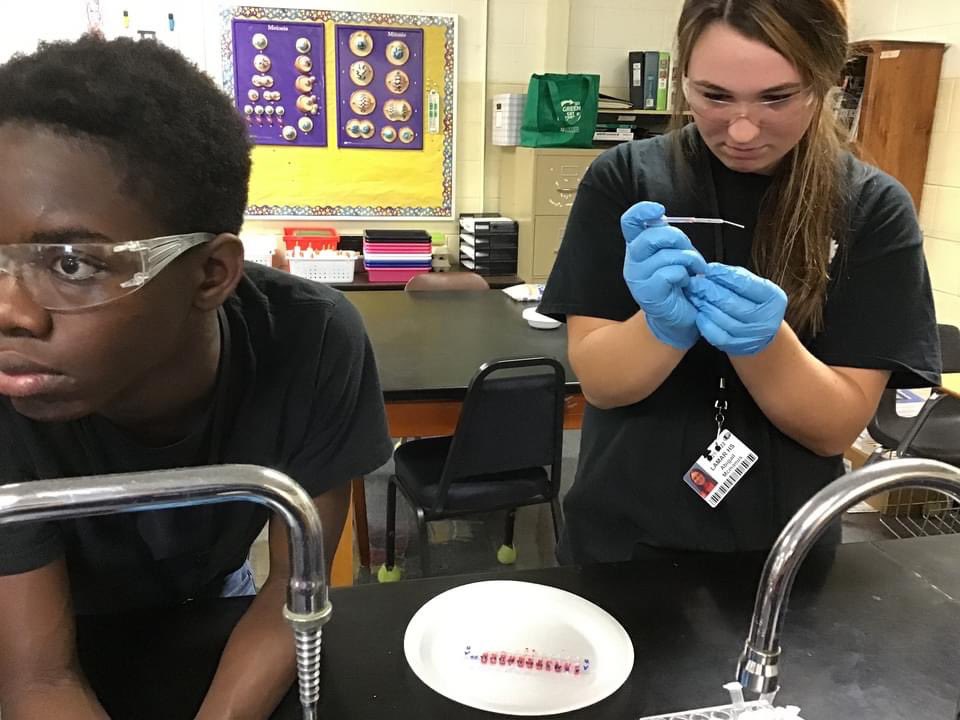 DrMarlonThomas's tweet photo. More blood testing in Biomedical! We narrowed down our suspect list by analyzing which ABO blood groups matched the blood found at our Anna Garcia crime scene! @DCSD_SC @LHS_SilverFoxes https://t.co/2Gs3mSnCSe