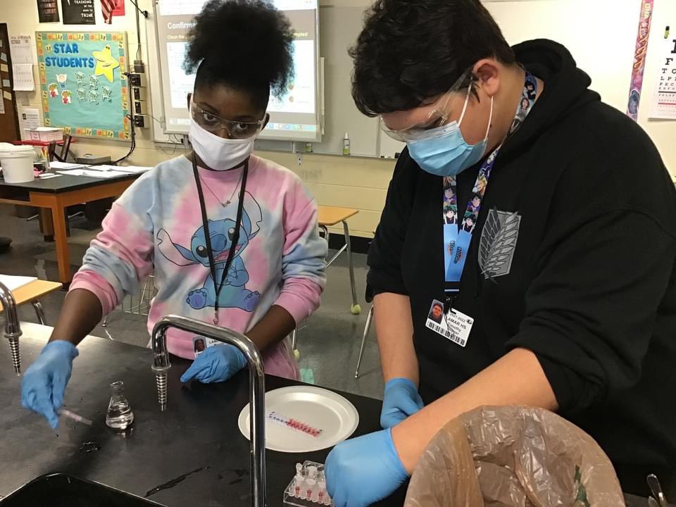 DrMarlonThomas's tweet photo. More blood testing in Biomedical! We narrowed down our suspect list by analyzing which ABO blood groups matched the blood found at our Anna Garcia crime scene! @DCSD_SC @LHS_SilverFoxes https://t.co/2Gs3mSnCSe
