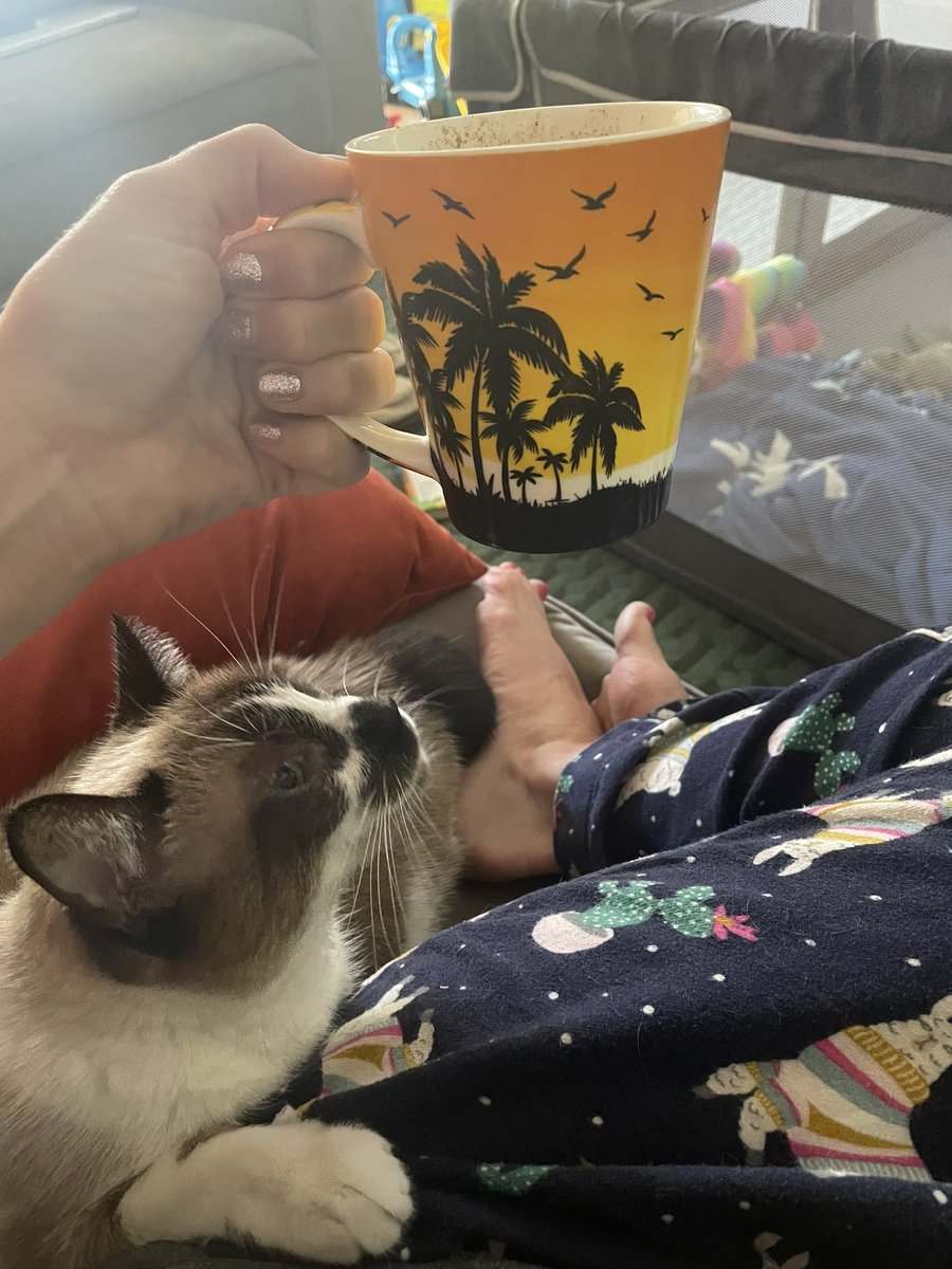 Angel | 😇 tweet media