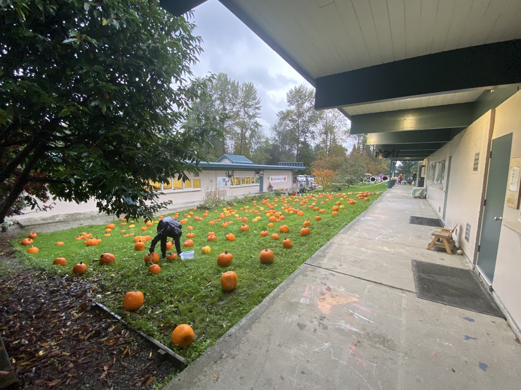 <a href="/Seaview_School/">Seaview Community School</a>  Pumpkin Patch is ready to go following a rather damp setup! #sd43 #seaview