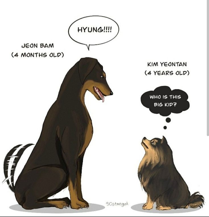 SCouchantt's tweet photo. гляньте на эту красоту!! https://t.co/YjRWNDoqAQ