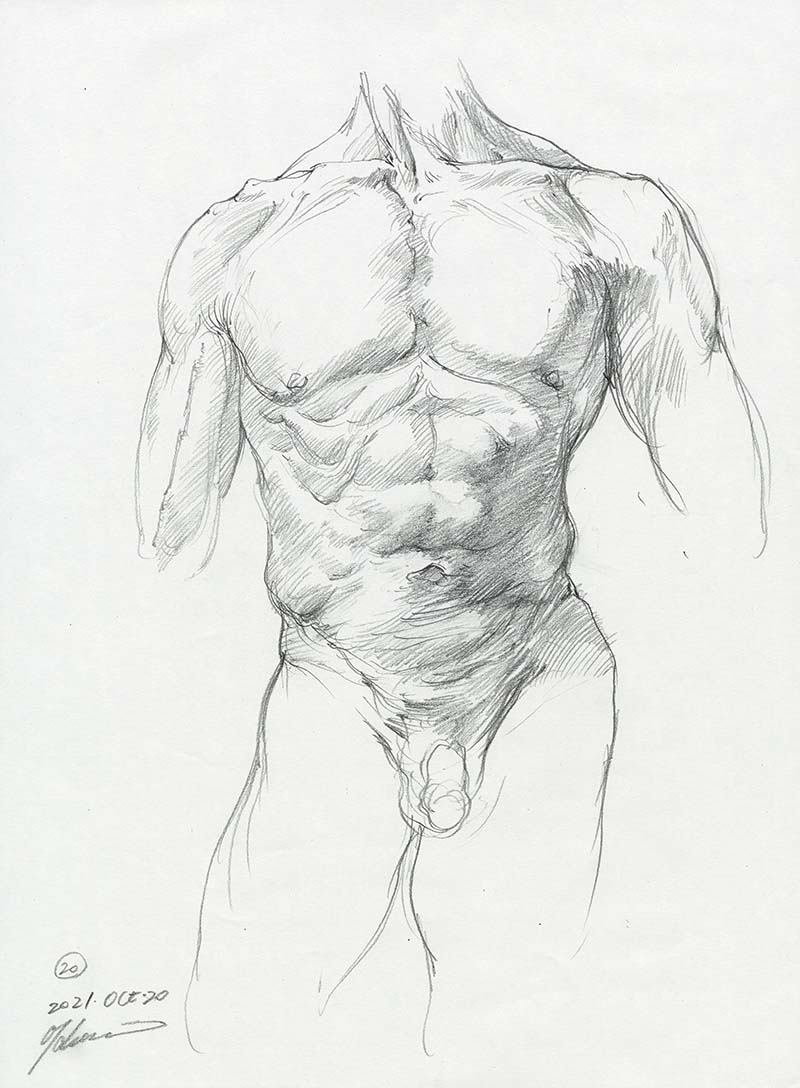 今日のクロッキー。体幹を中心に描きました。
#京都精華大学 #美術解剖学 