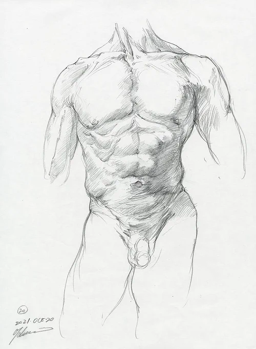 今日のクロッキー。体幹を中心に描きました。#京都精華大学 #美術解剖学 