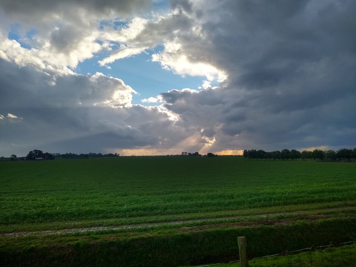 zuidlandnet's tweet photo. Zomaar een herfstdag in de polder van Zuidland - https://t.co/HoPt7nreAT
