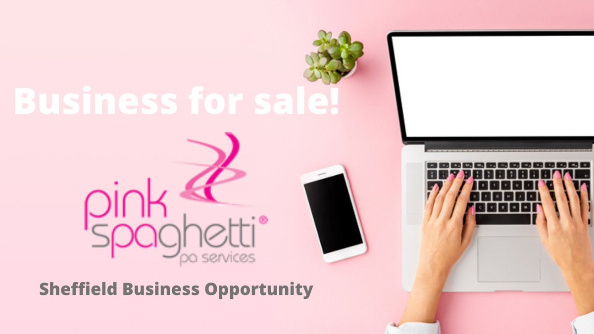 Pink Spaghetti Sheffield tweet media