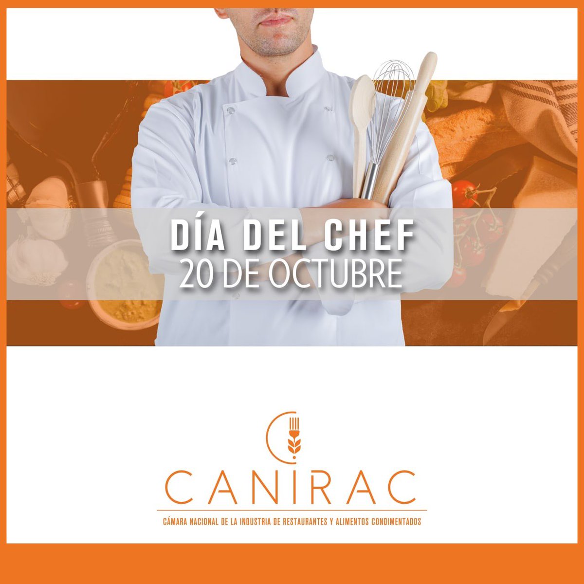 Canirac Quintana Roo celebra hoy 20 de octubre el Día Internacional del Chef. 🥳

Desde hace 16 años se destaca el gran trabajo que hacen los cocineros para hacer a las personas más felices a la hora de comer. ¡Gracias por su noble labor! 👨🏻‍🍳

<a href="/chefbeza2/">@chefbeza_</a> 
.
.
#ProQuintanaRoo