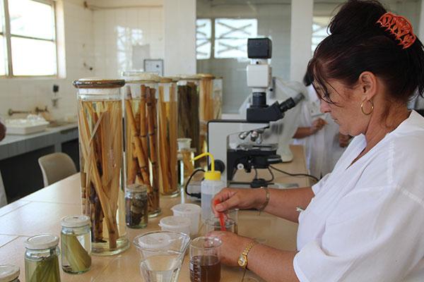 AcnuCuba's tweet photo. El @GAzcuba impulsa la producción de bioproductos a partir de plantas productoras de insumos del @ICIDCA3 La planta de la UEB Bioprocesos Cuba 10,comenzó la producción del #Nitrofix, biofertilizante fijador de nitrógeno y estimulante del crecimiento vegetal como único surtido. https://t.co/gi9xLO2L6K