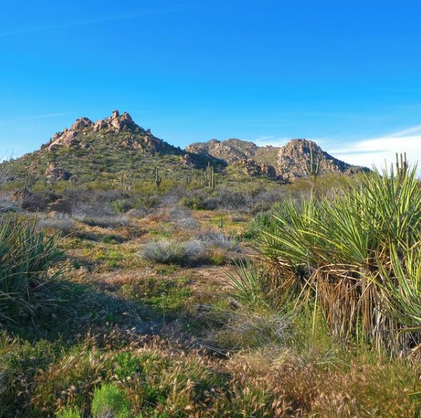WeDealinHope's tweet photo. The @scottsdaleazgov has proclaimed October as McDowell Sonoran Preserve Month!  This urban Preserve is now the largest in the continental United States. Congratulations! @mcdowellsonoran #mcdowellsonoranpreserve #cityofscottsdale #wedealinhope https://t.co/NVqrE9GReD