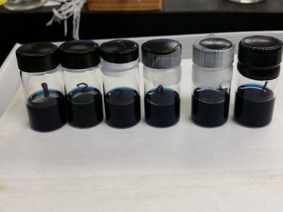 Alex Speed tweet media