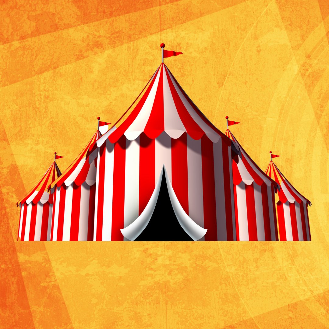 Escape Edinburgh tweet media