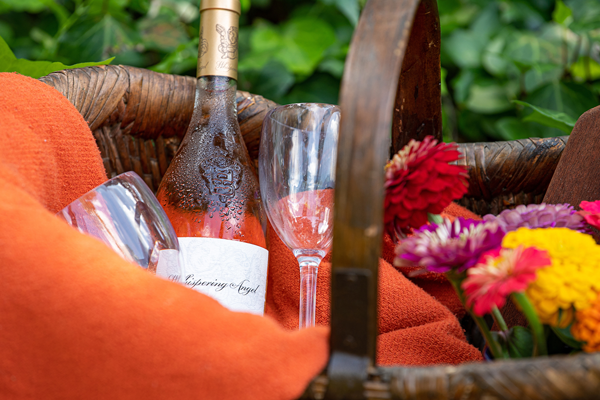 thewillcox's tweet photo. Who has been out enjoying the gorgeous fall weather? It's a great time to explore the outdoors &amp; take in some fresh air. You can do both by planning a picnic at Hopelands Gardens or in Hitchcock Woods this week. Don't forget to order your gourmet picnic from us before you go! 🧺 https://t.co/PskeqOAxK5