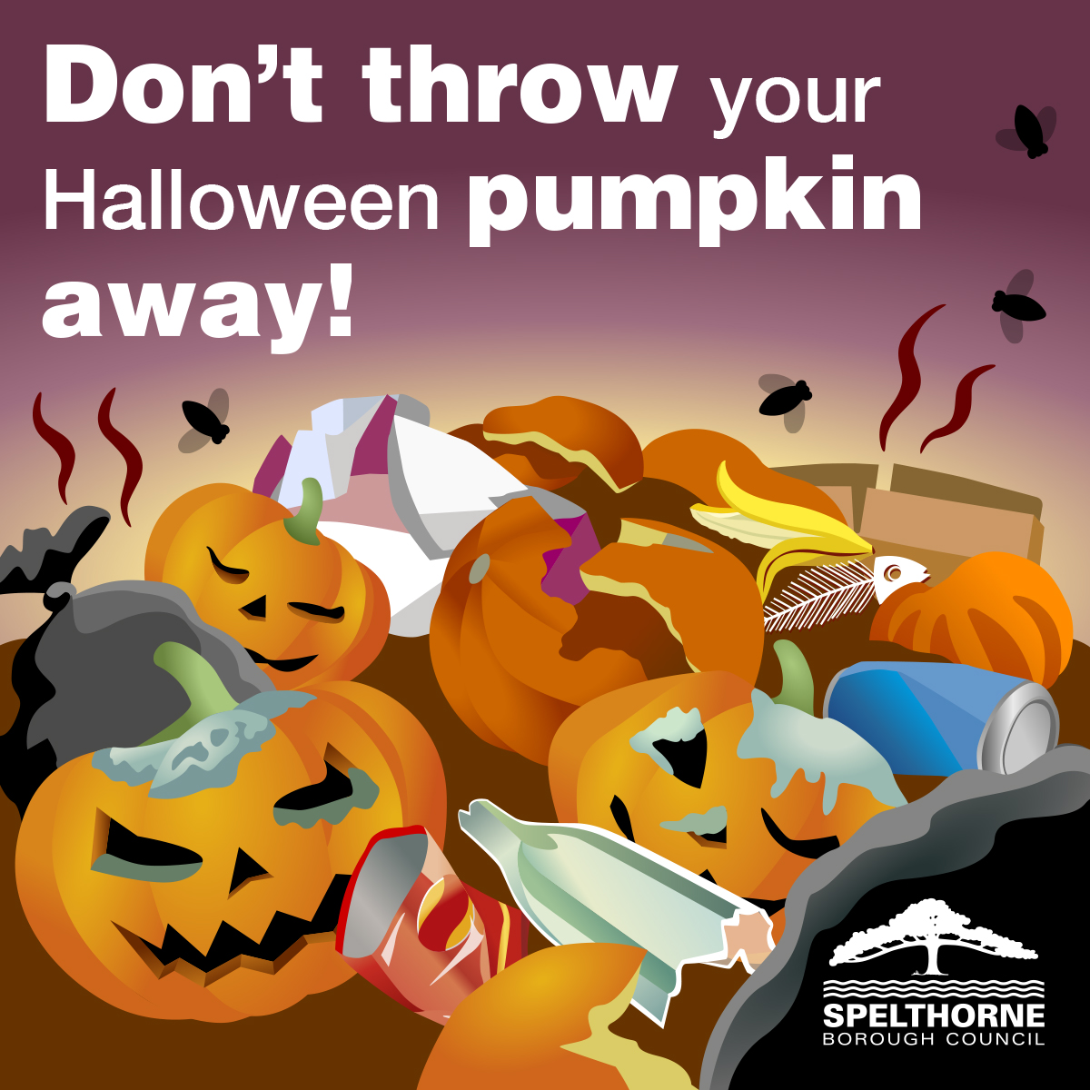 Almost 15 million pumpkins will go into the rubbish the week after Halloween. Don’t let yours go to waste, put it out on your bin to be recycled! #recycling #recycle #recycling #food #foodwaste #Spelthorne #Surrey #watchyourwaste #watchyourwastesurrey #Halloween #pumpkin