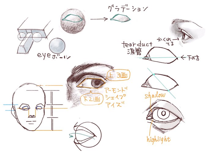 わかりやすそうな目の描き方動画があったので視聴
英語でもなんとなく理解できるのではと期待したけど、先生の言ってること全然わからなかった😂
でも収穫はあったかな

 #日々描く 