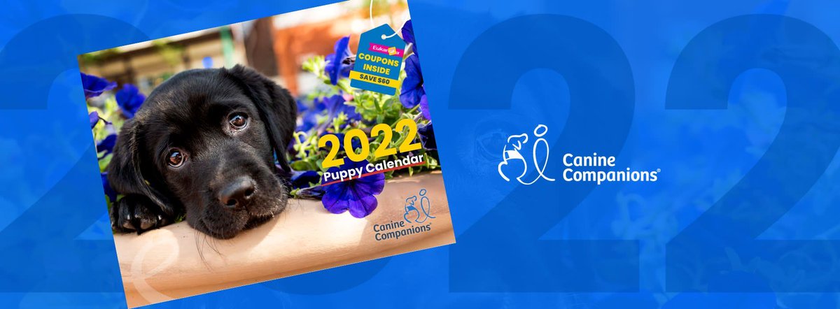 canineorg's tweet photo. It’s that time of the year again—it's puppy calendar season! 🐶🐶🐶 With every $25 donation, you will receive a 2022 puppy calendar for you or a loved one. Welcome the new year with a party of precious puppies: https://t.co/12VkckX90x 
#Puppies #servicedog #futureservicedog https://t.co/cDjeAF20IA