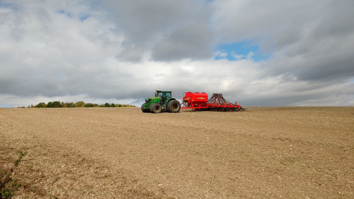 LGSeedsUK's tweet photo. Ron’s Top Tips for the late drilling of wheat 👉👉 https://t.co/GgceZgti4C #LGSkyscraper #TechnicalAdvice 🚜🌾

@reglimagrain https://t.co/FjgARRO0uS
