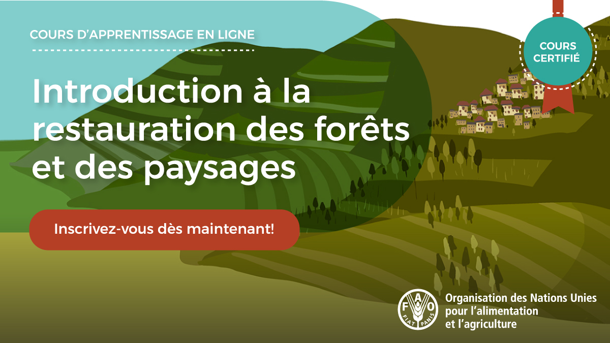FAOenFrancais's tweet photo. Vous souhaitez en savoir plus sur les concepts clés et les étapes de la restauration des forêts et des paysages ? 

Inscrivez-vous au cours en ligne de la @FAO: https://t.co/GGSiv3GioR

#Elearning https://t.co/tbpUvUWU1m
