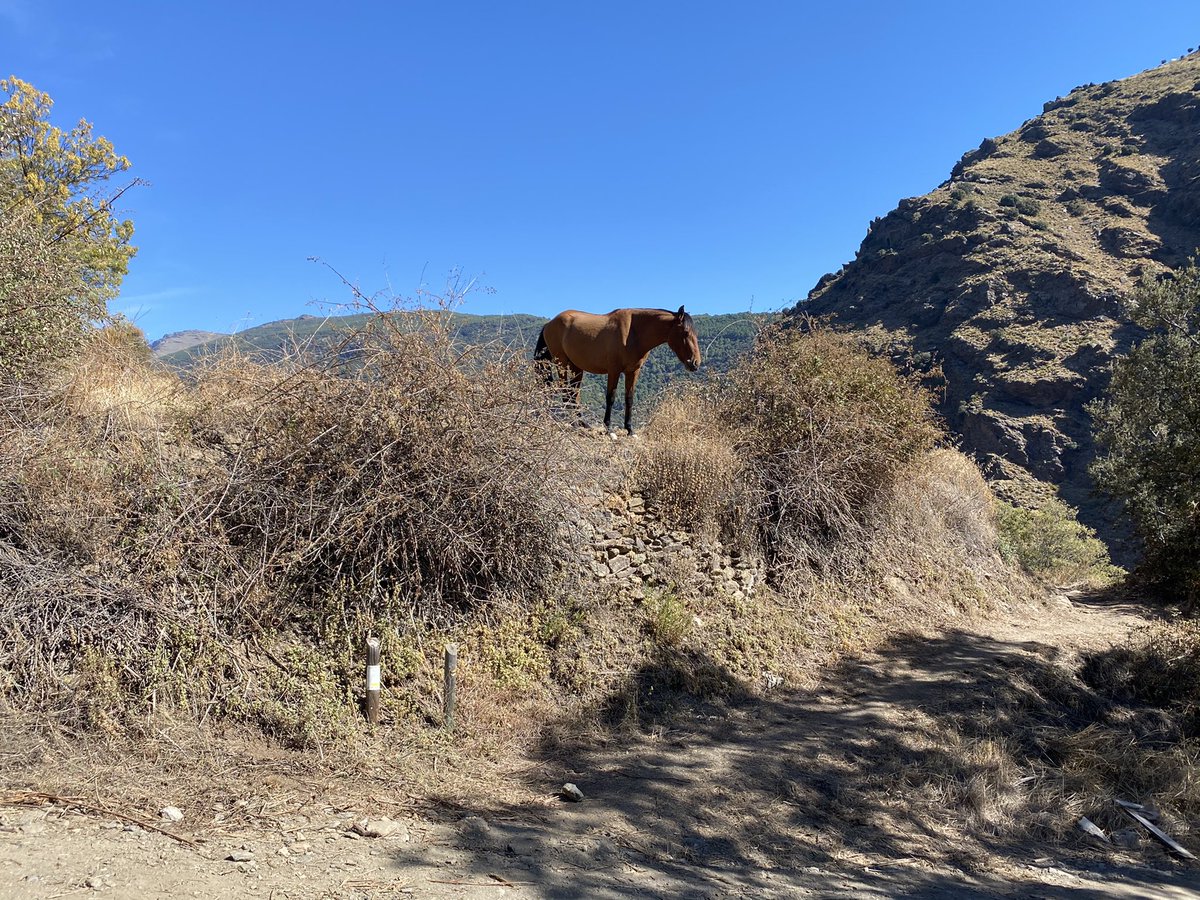 JustLawes's tweet image. Moving to Spain. Have a look at our blog. justlawsolicitors.com/blog/ #movetospain #liveinspain #retiretospain #spanishlawyer #justlawsolicitors #residencia