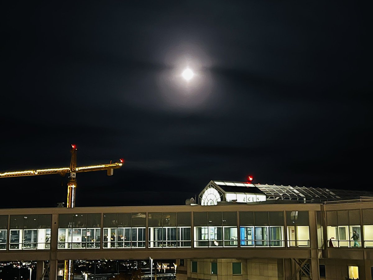 aliflynngaffney's tweet photo. πππ»π Morning moon walking into @UofUHealth ! Happy Wednesday to the best healthcare team out there - bringing it 24/7!! #utahmoon #oneteamonemission #proudtobeuhealth https://t.co/xqaIuKvRYy