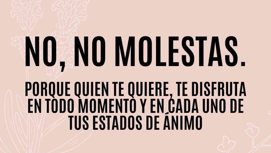 RiseUnforgiven's tweet photo. No molestas. https://t.co/fgGVftX5O3