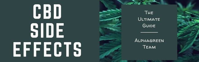 Alphagreen tweet media