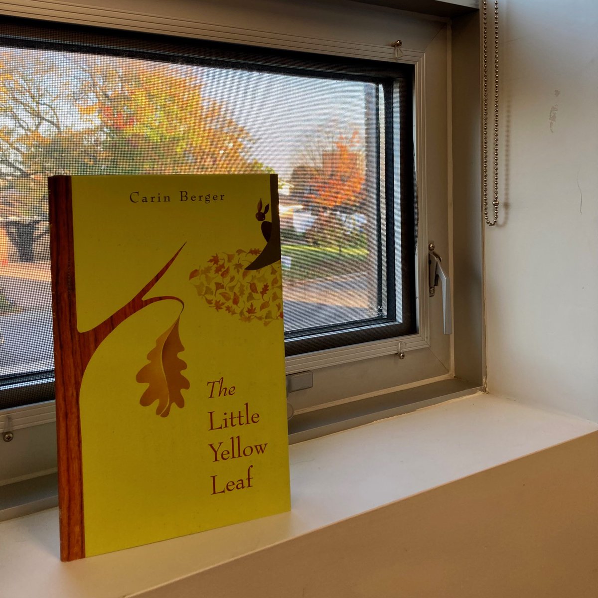 MissHawleyReads's tweet photo. Sharing some autumn 🍂 love with this week's #SchoolReadAloud "The Little Yellow Leaf" by @CarinBerger. @StLukeOttawa @TDMcGeeOCSB #SchoolLibraryTech https://t.co/m9Vpuf6Lls