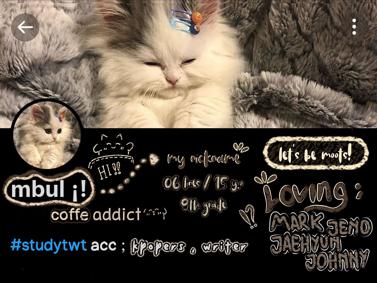 caticoffe tweet picture