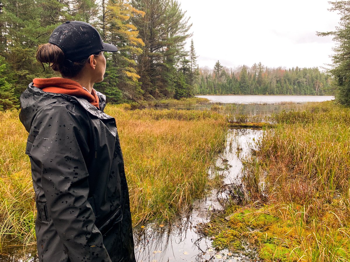 Taking it all in. #AlgonquinPark #Ontariobeauty