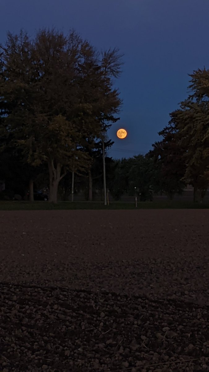 Mike Pavone tweet media