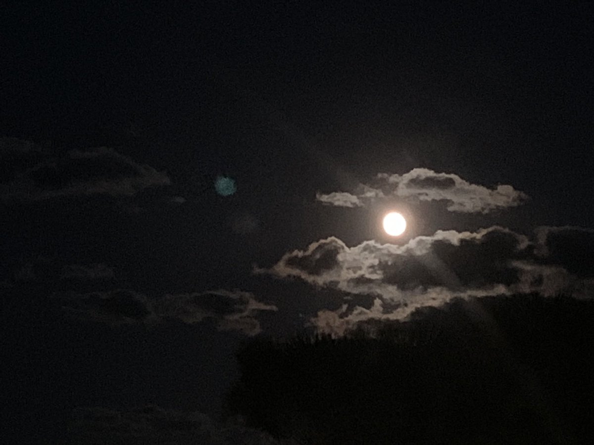 akaranoel's tweet photo. About last night ~
#fullmooncrazy https://t.co/d2teNpo5Wb