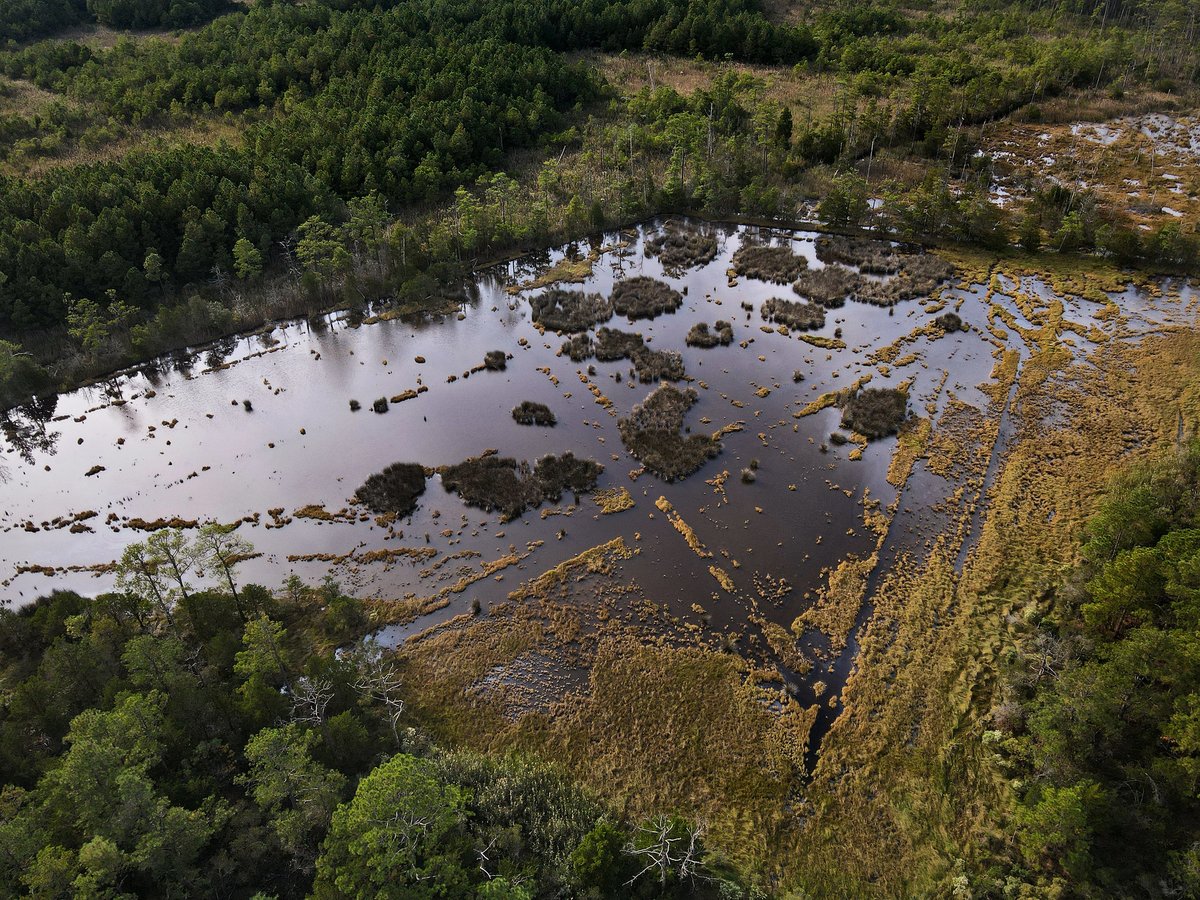 Coastal Virginia: Share your #flooding experiences and your ideas of how the Commonwealth can respond. The survey takes about 10 minutes to complete: surveymonkey.com/r/VACRMP-Public