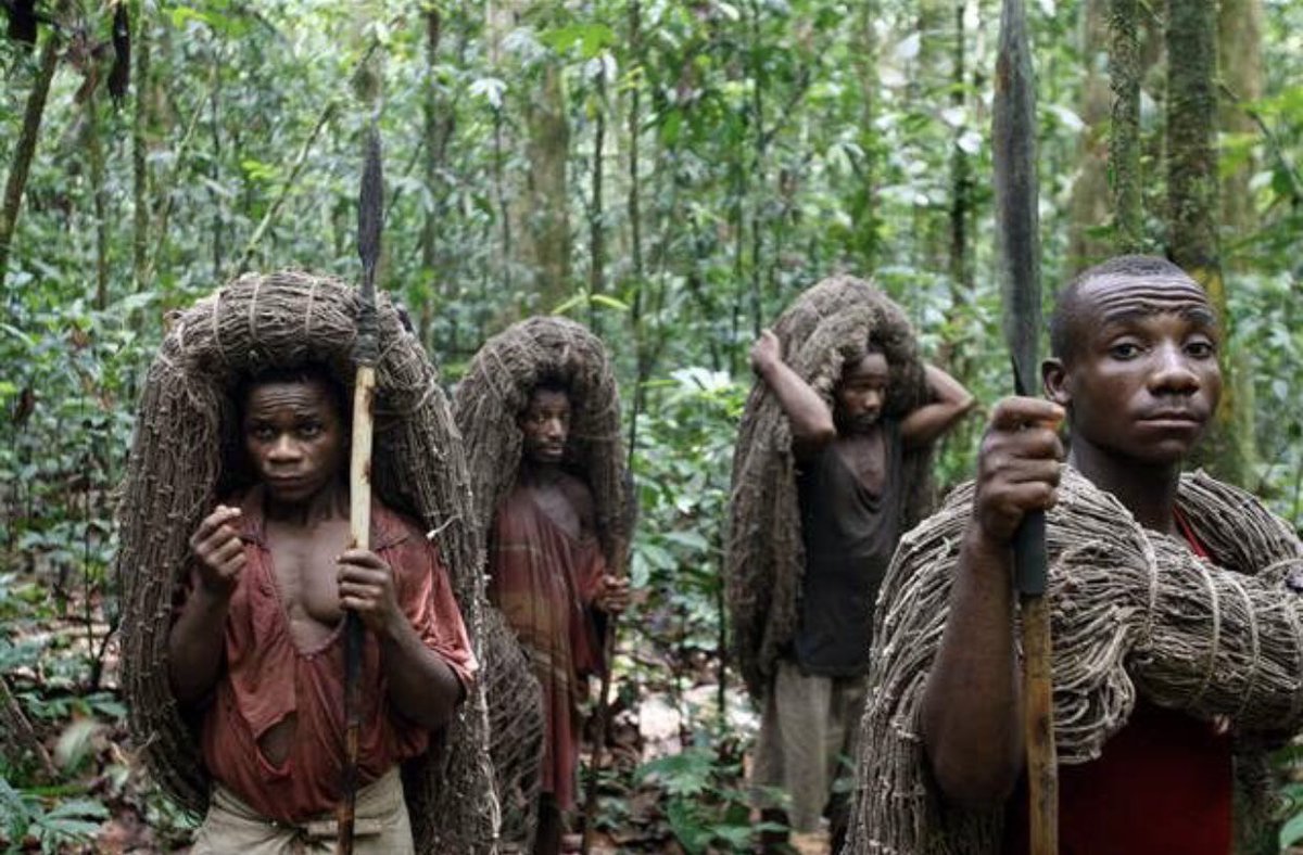 E_Ndimwiza's tweet photo. Cette communauté est en extinction automatique dans notre société. Les #pygmees n'ont plus de forêt à grande échelle pour chasser. Comment stabiliser cette communauté en RDC ? @Evebazaiba @Global_Witness @UnivDroit_EDD @fatshi13 @ONU_fr https://t.co/GDpJ50FooE