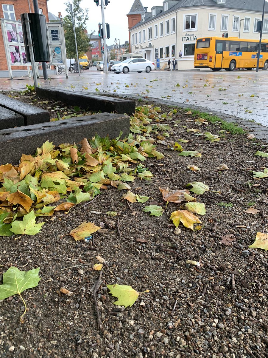 NielsMoestrup's tweet photo. Foråret er eddermame også kommet til
#Næstved
#Kunder
#Rådgivning
#Bondefødtkvajetopdraget https://t.co/4c5fFL3J1r