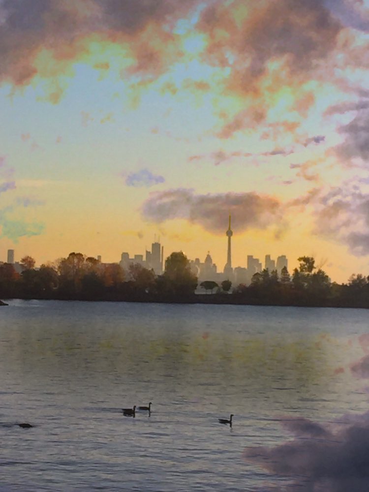 AnnBradfield's tweet photo. City 🌆 View #NaturePhotography #citylimit #toronto #ONT #lakeshore #cntower #Canada https://t.co/d043UPSu7B