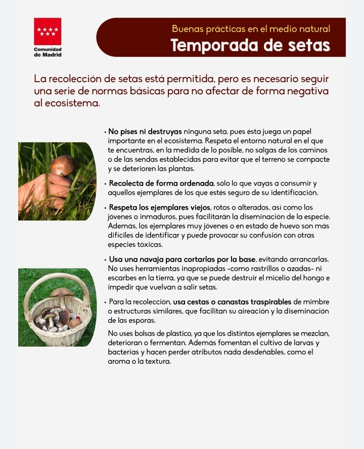 squalius's tweet photo. ℹ️⚠️🍄 
Buenas prácticas en el Medio Natural.

Temporada de setas.
Recogida de setas
🍄🍄🍄🧺

📌https://t.co/ZqeGSjTU7X

vía @medioambientecm @ComunidadMadrid 

#AgentesForestalesCM 🚔
☎️ 112 https://t.co/qw8kcf4fl1