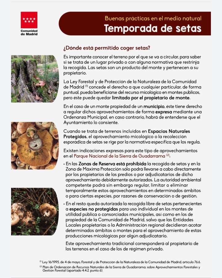 squalius's tweet photo. ℹ️⚠️🍄 
Buenas prácticas en el Medio Natural.

Temporada de setas.
Recogida de setas
🍄🍄🍄🧺

📌https://t.co/ZqeGSjTU7X

vía @medioambientecm @ComunidadMadrid 

#AgentesForestalesCM 🚔
☎️ 112 https://t.co/qw8kcf4fl1