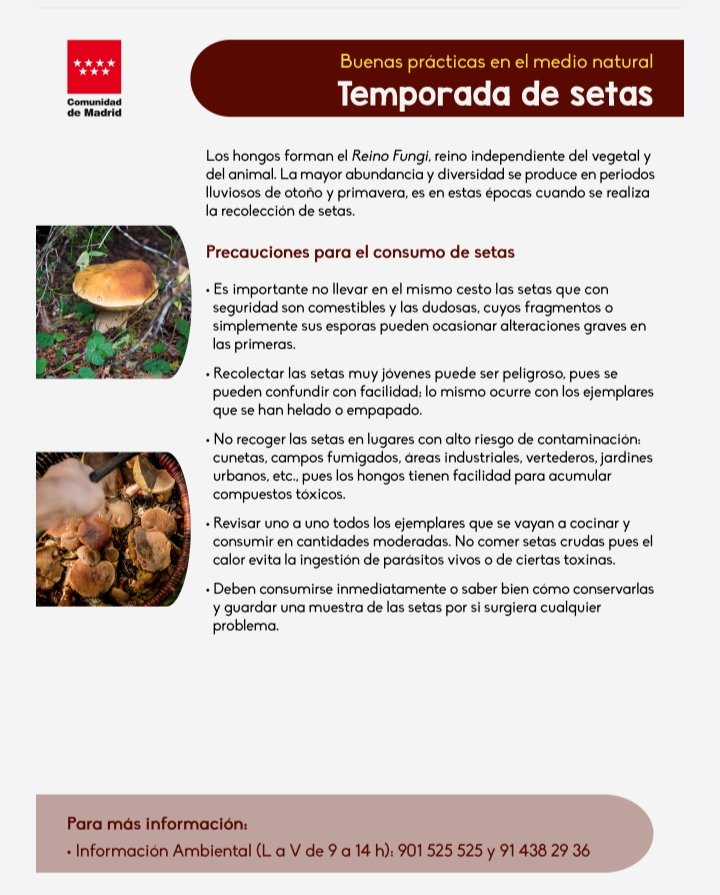 squalius's tweet photo. ℹ️⚠️🍄 
Buenas prácticas en el Medio Natural.

Temporada de setas.
Recogida de setas
🍄🍄🍄🧺

📌https://t.co/ZqeGSjTU7X

vía @medioambientecm @ComunidadMadrid 

#AgentesForestalesCM 🚔
☎️ 112 https://t.co/qw8kcf4fl1