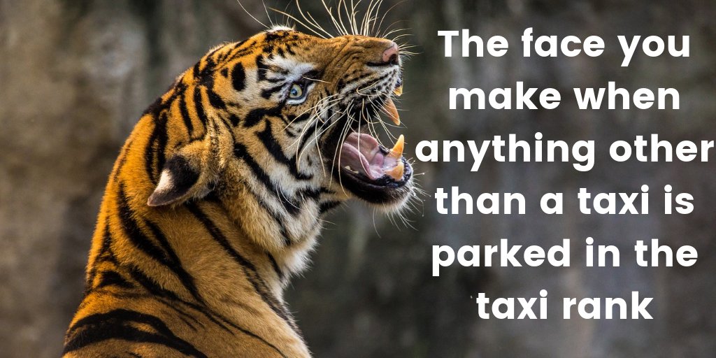 Cygnustaximeter's tweet photo. Can any Taxi Drivers relate to this? https://t.co/tsrvHw6pqg