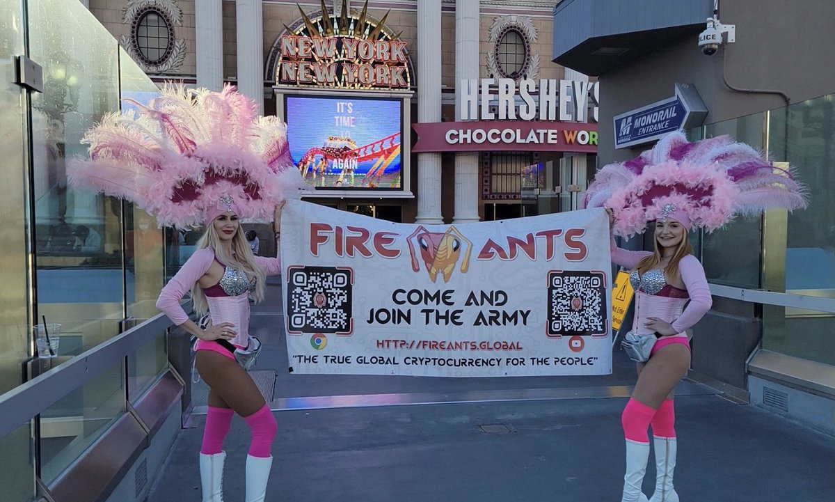 Ants gansta ⛤ tweet media