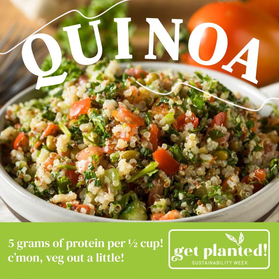 DineAtHope's tweet photo. Quinoa is a hearty plant-based protein that is similar to rice, but packed with protein! Quinoa has 8 grams of protein per cup. Try it in bowls, salads, soups, and even burritos, and make sure to try it on campus today!
#Sustainability #PlantBased #Protein #GetPlanted @HC_Green https://t.co/4x1LboVoRp