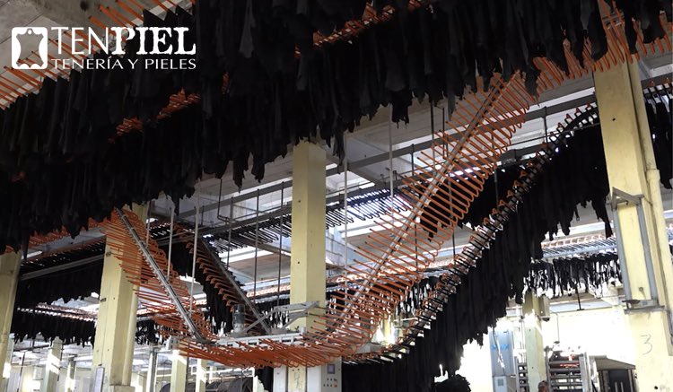 Tenpiel1's tweet photo. Puro Cuero Cubano fuerte y resistente 🐂 🇨🇺 Para toda la vida ...
#TeneriayPieles #industriateneraenCuba #pieles #cueros #Minil #Gempil #purocuerocubano #Cuba
Contáctenos a través de los siguientes números:
📲+53 52177803
📲+53 5995289 https://t.co/cAHBM0gSMv
