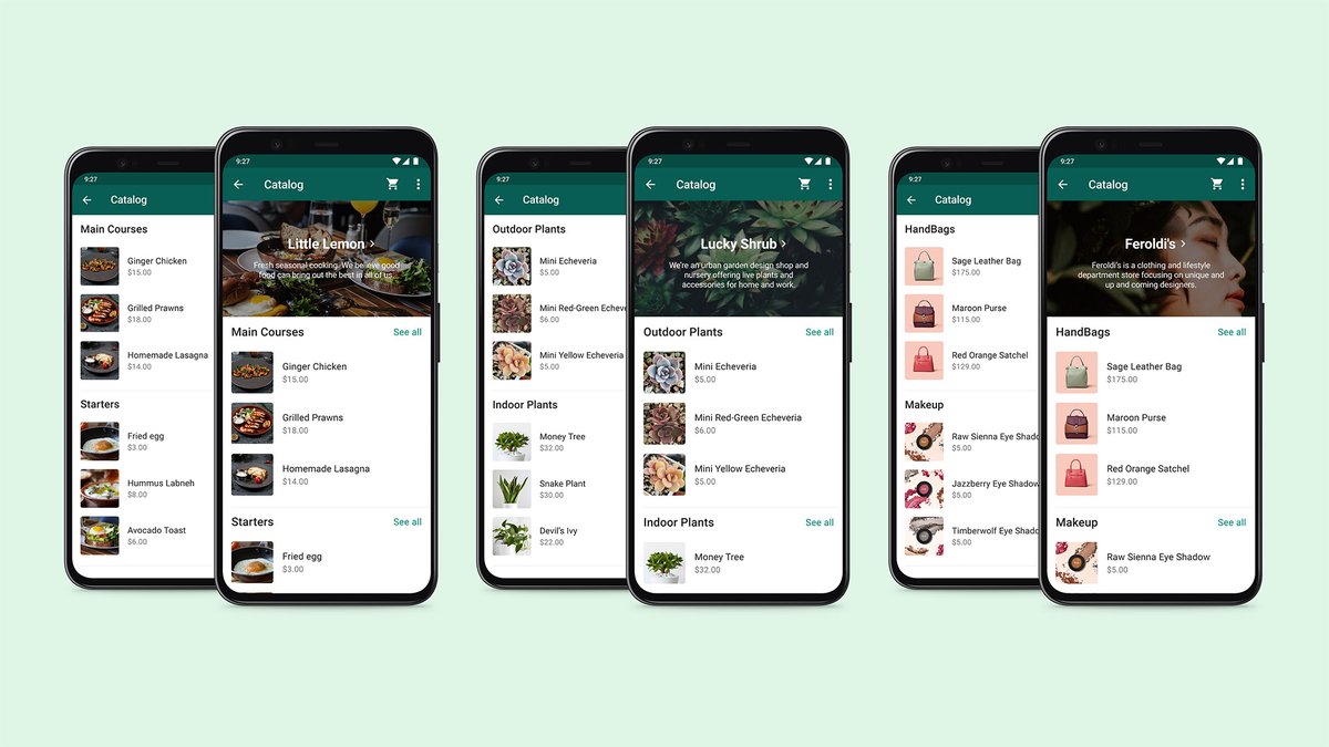 WhatsApp users can now shop for items by category using 'Collections'